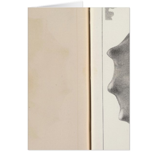 XIX Cretácico (Frente)