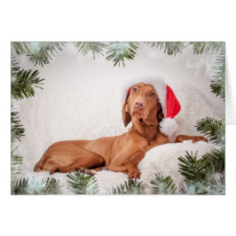 Xmas Card/Christmas Card “Magyar Vizsla "
