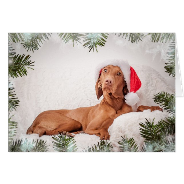 Xmas Card/Christmas Card “Magyar Vizsla " (Anverso (Horizontal))