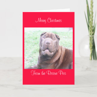 xmas card_cr, Feliz Navidad desde Wallace