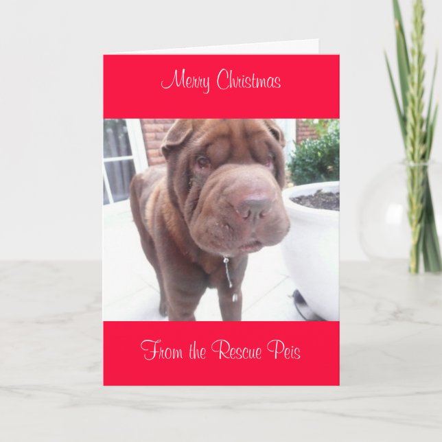 xmas card_cr, Feliz Navidad desde Wallace (Anverso)