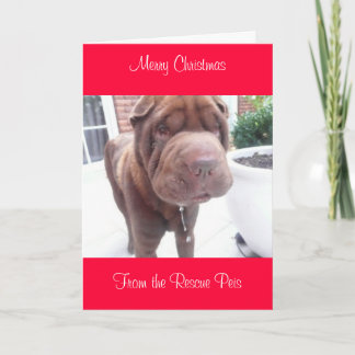 xmas card_cr, Feliz Navidad desde Wallace