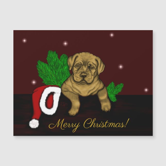 XMas Puppy (Anverso)