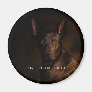Xoloitzcuintle Imán Recubierto