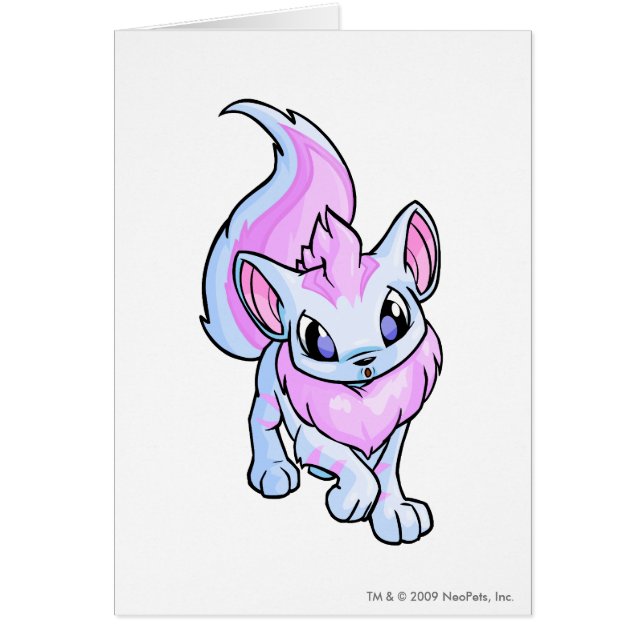 Xweetok rayó (Frente)