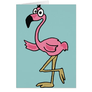 XX flamenco divertido