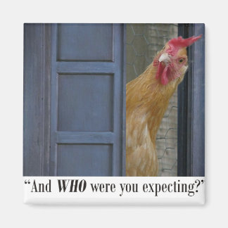 "¿Y a quién esperabas?" Imán