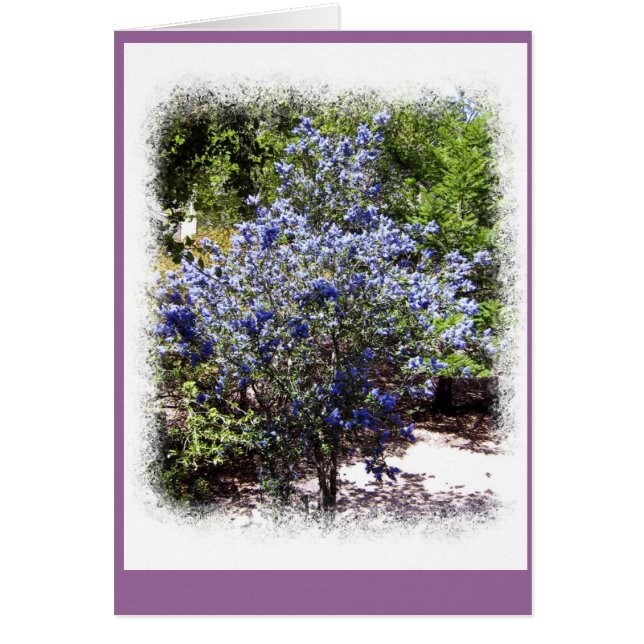 Ya no está solo (Frente)