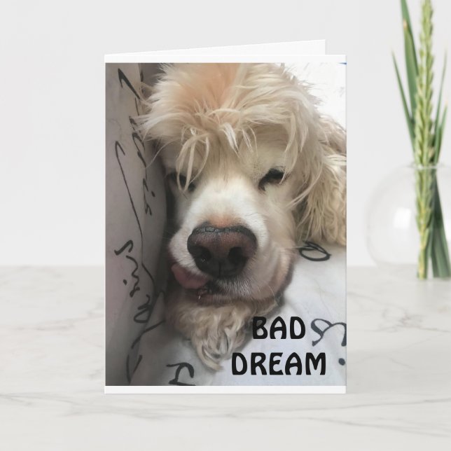 YA TE FALTAS/NI SIQUIERA HAS MOVIDO LA TARJETA (Anverso)