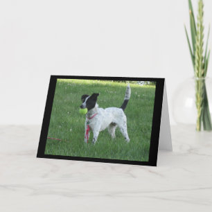 Yahtzee El perro con tarjeta de saludo de bolas