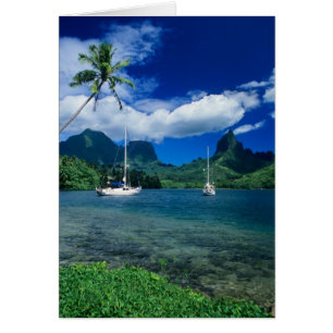 Yates privados anclados en la bahía de Opunohu