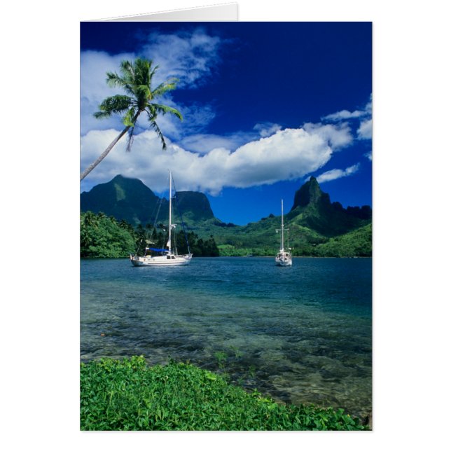 Yates privados anclados en la bahía de Opunohu, en (Frente)