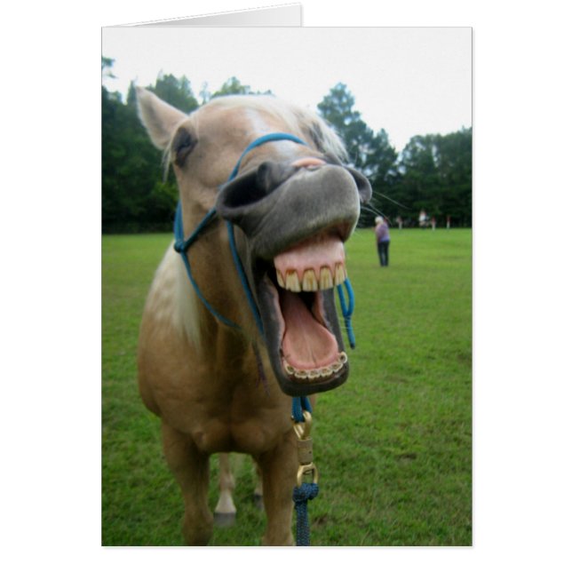 Yawning Horse (Frente)