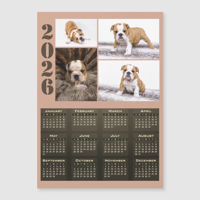 Year 2026 Calendar Dog Pet 4 Photo Collage Magnet (Anverso)