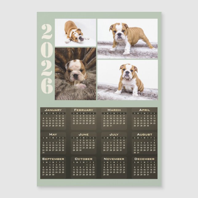Year 2026 Calendar Dog Pet 4 Photo Collage Magnet (Anverso)