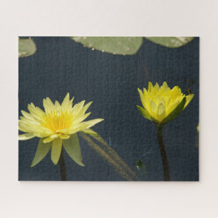 Yeguas de agua amarilla Dragonfly Jigsaw Puzzle
