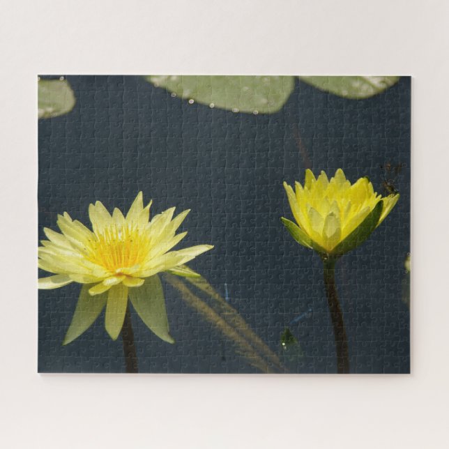 Yeguas de agua amarilla Dragonfly Jigsaw Puzzle (Horizontal)