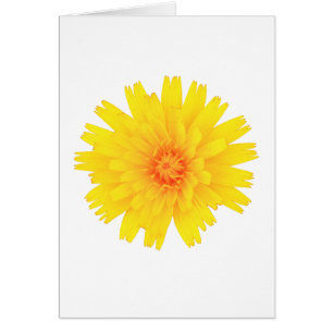 Yellow Flower