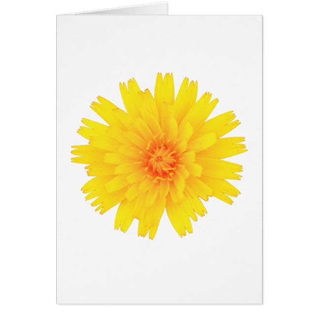 Yellow Flower (Frente)