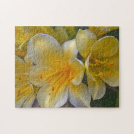 Yellow Gold Lily Flores Floral Jardín Puzzle