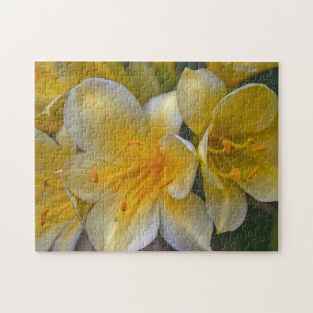 Yellow Gold Lily Flores Floral Jardín Puzzle (Horizontal)