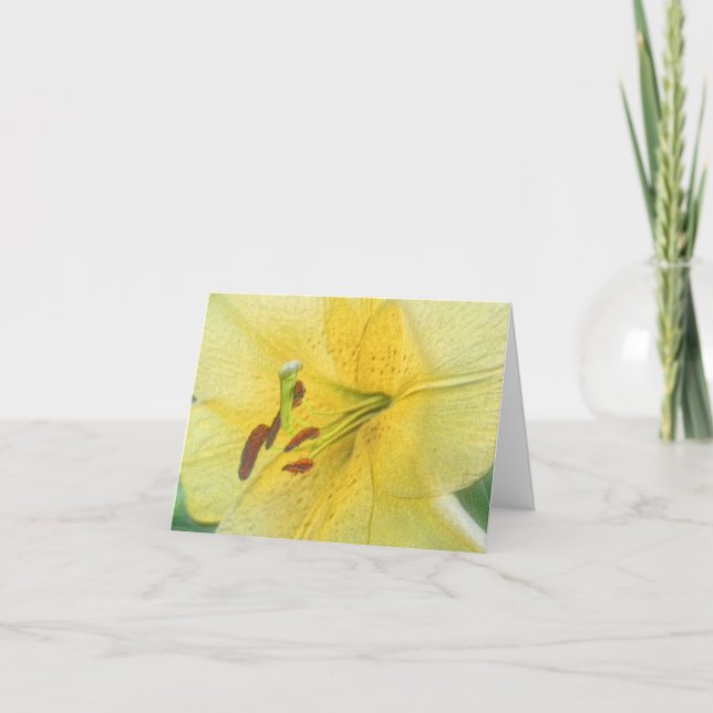 Yellow Lily Flower Art Personalized (Anverso)