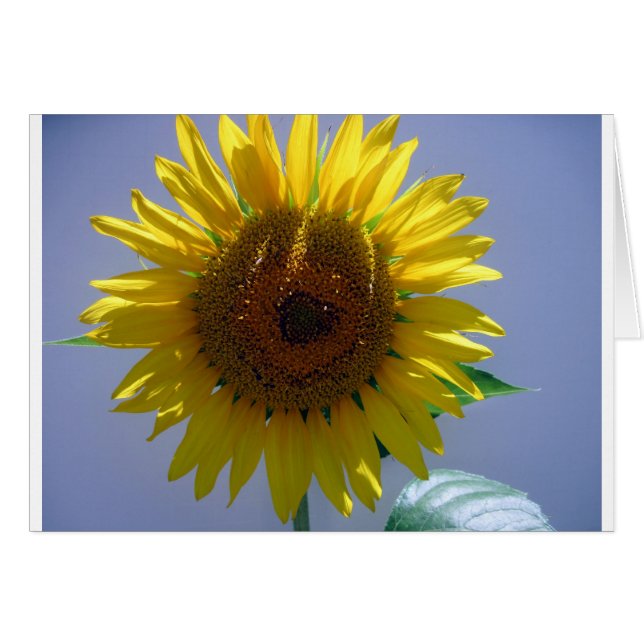 Yellow Sunflower (Anverso (Horizontal))