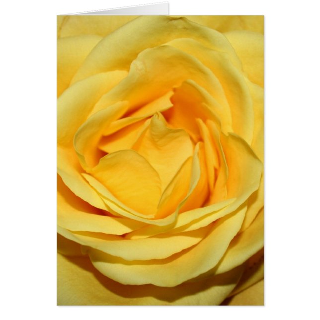 yellowrosecard (Frente)