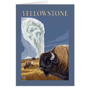 Yellowstone Bison con la vieja fe