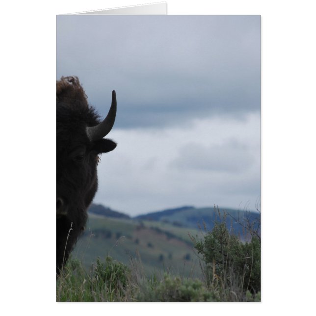Yellowstone Guardian (Frente)