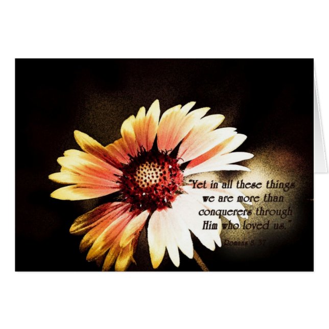 YetinallThisThingsZazzle (Anverso (Horizontal))