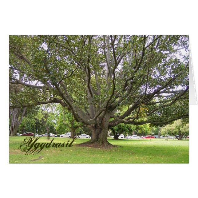Yggdrasil (Anverso (Horizontal))