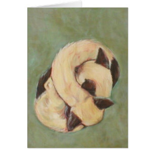 Yin y Yang
