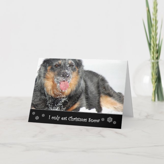 Yo como solamente nieve del navidad (Anverso)