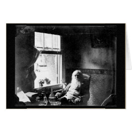 "Yo Exito Como Soy..." Foto De Mickle Street Whitm