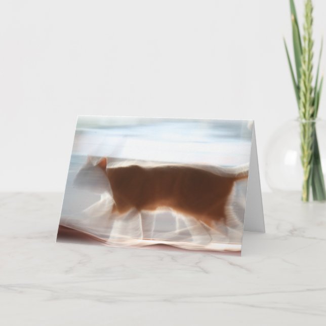 ¡Yo primero!!! Tarjeta de felicitación (Anverso)