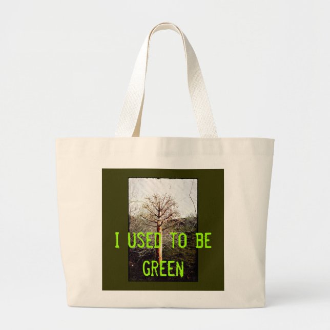 Yo Solía Ser Bolsa Verde (Frente)
