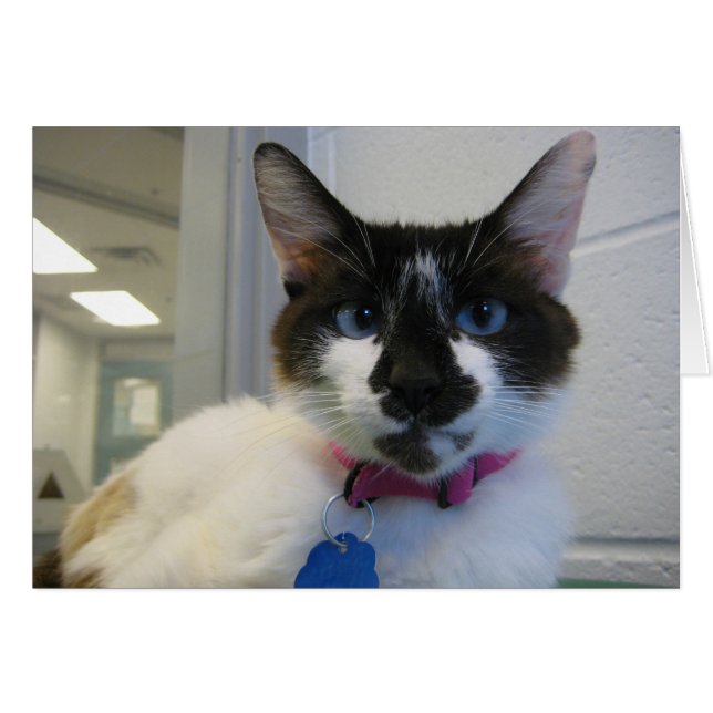 Yo También Te Veo (Anverso (Horizontal))