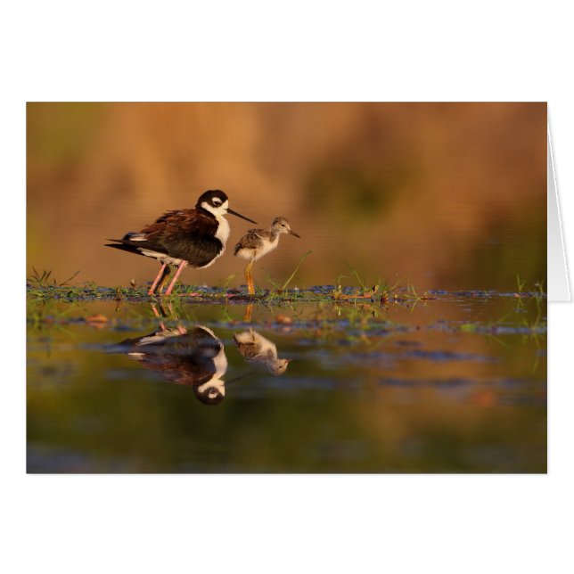 Yo y mi chica (Anverso (Horizontal))