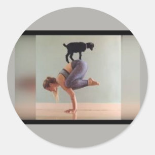 Yoga de cabra de moda, Ladiy y Goat en Pegatina
