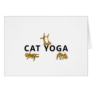yoga de gato