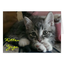 Yoga Kitten (Tarjeta de Salud) - Sobre Incluido