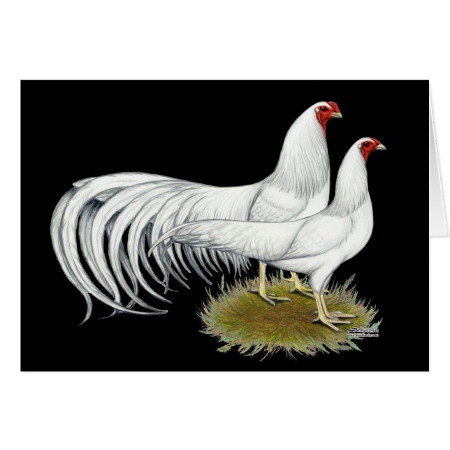 Yokohama: Par Blanco (Anverso (Horizontal))