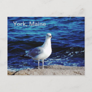 York, postal principal
