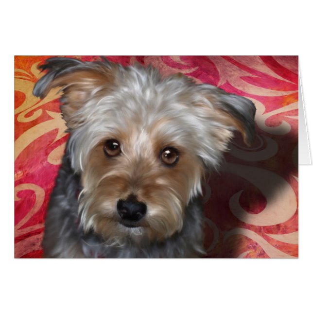 Yorkie (Anverso (Horizontal))