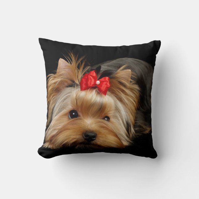 Yorkie con la almohada roja del arco (Anverso)