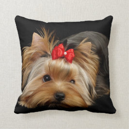 Yorkie con la almohada roja del arco