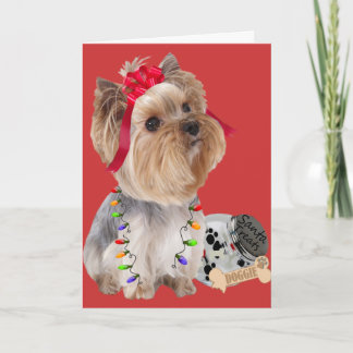 Yorkie cree en las tarjetas Santa