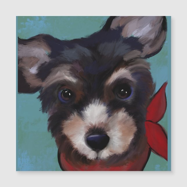 Yorkie Poo   (Anverso)
