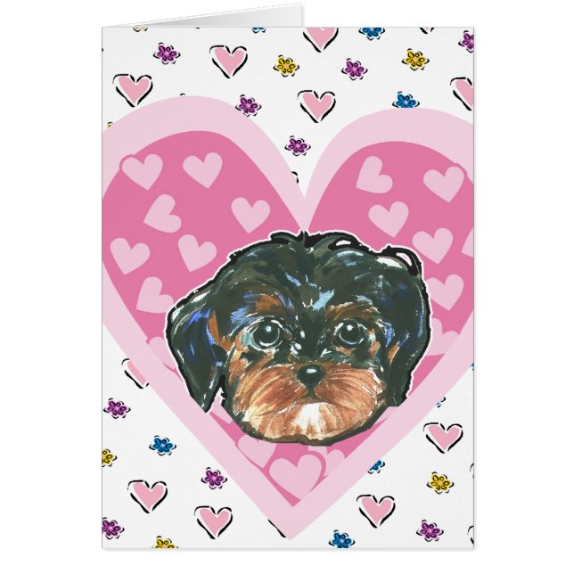 Yorkie Poo de San Valentín (Frente)